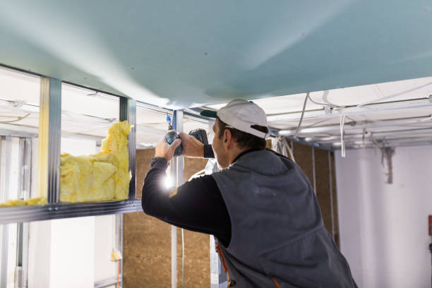 Best Specialized Insulation Services in Upper Sandusky, OH